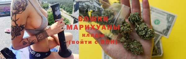 шишки Богородицк