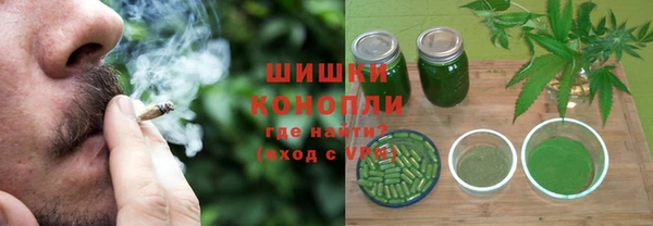 шишки Богородицк