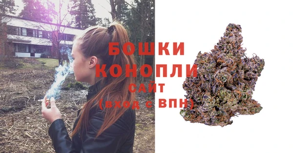 бошки Богданович