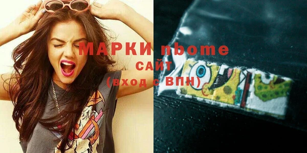 шишки Богородицк