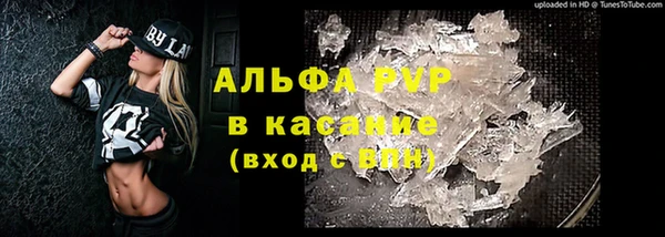 шишки Богородицк