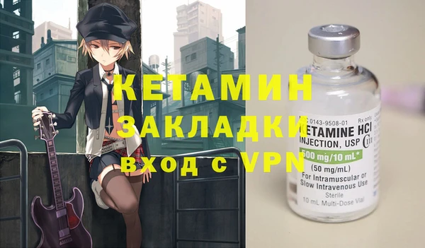 шишки Богородицк
