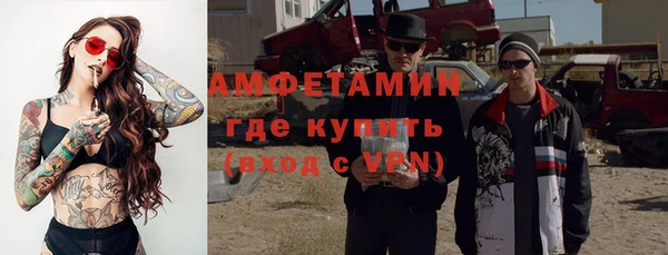 шишки Богородицк